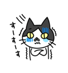 博多弁の白黒猫チョビ（個別スタンプ：36）