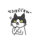 博多弁の白黒猫チョビ（個別スタンプ：37）