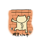 ねこといぬ（個別スタンプ：24）