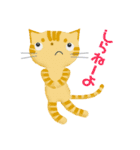 ホンネねこ（個別スタンプ：16）
