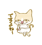 サビネコがん＆白茶アッキ― 猫（個別スタンプ：5）