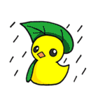 ぶたろーくんとヒヨノコ（個別スタンプ：24）