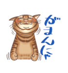 ニャンにゃライフ (日本語版)（個別スタンプ：23）