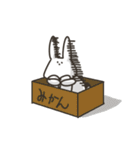 めんどうさぎ（個別スタンプ：25）