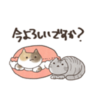 まかろんにゃんこ（個別スタンプ：11）