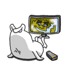 え？うさぎだよ？その1（個別スタンプ：20）