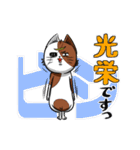 第3弾・仙台弁猫マサムネのほめるスタンプ（個別スタンプ：10）