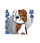 第3弾・仙台弁猫マサムネのほめるスタンプ（個別スタンプ：27）