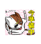 第3弾・仙台弁猫マサムネのほめるスタンプ（個別スタンプ：29）