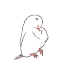 白文鳥さん（個別スタンプ：25）
