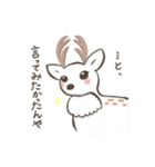 奈良の白鹿さん（個別スタンプ：3）