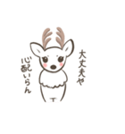 奈良の白鹿さん（個別スタンプ：5）