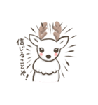 奈良の白鹿さん（個別スタンプ：12）
