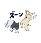 チーム犬猫（個別スタンプ：12）