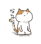 うざい顔の猫のスタンプ（個別スタンプ：14）