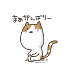 うざい顔の猫のスタンプ（個別スタンプ：17）