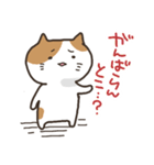 うざい顔の猫のスタンプ（個別スタンプ：27）