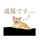 猫が好きっ！（個別スタンプ：6）