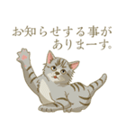 猫が好きっ！（個別スタンプ：10）