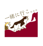 猫が好きっ！（個別スタンプ：19）