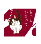 猫が好きっ！（個別スタンプ：20）