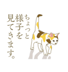 猫が好きっ！（個別スタンプ：27）