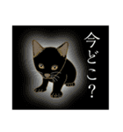 猫が好きっ！（個別スタンプ：39）