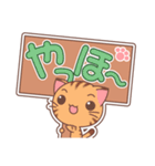 パネにゃこ（個別スタンプ：1）