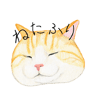 ねこのひとこと（個別スタンプ：3）