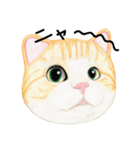 ねこのひとこと（個別スタンプ：40）