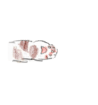 ふわふわねこ（個別スタンプ：36）