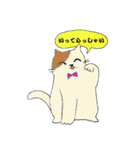 のんびり☆アニマル（個別スタンプ：1）