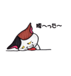 三毛堂さん（個別スタンプ：11）