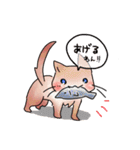 犬（猫）時々脚長ひよこのポッポ（個別スタンプ：26）