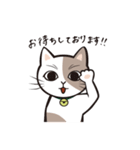 敬語猫とお上品猫（個別スタンプ：9）