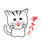 トラねこちゃん（個別スタンプ：1）