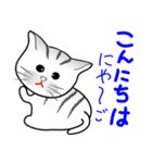 トラねこちゃん（個別スタンプ：2）