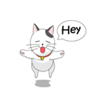 Shiro white cat with a fun.（個別スタンプ：1）