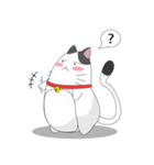 Shiro white cat with a fun.（個別スタンプ：6）