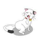 Shiro white cat with a fun.（個別スタンプ：8）