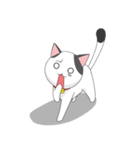 Shiro white cat with a fun.（個別スタンプ：11）
