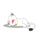 Shiro white cat with a fun.（個別スタンプ：12）