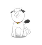 Shiro white cat with a fun.（個別スタンプ：14）