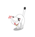 Shiro white cat with a fun.（個別スタンプ：15）