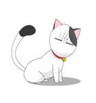 Shiro white cat with a fun.（個別スタンプ：16）