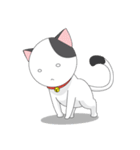 Shiro white cat with a fun.（個別スタンプ：17）