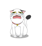 Shiro white cat with a fun.（個別スタンプ：18）