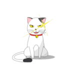 Shiro white cat with a fun.（個別スタンプ：22）