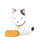 Shiro white cat with a fun.（個別スタンプ：24）