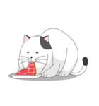 Shiro white cat with a fun.（個別スタンプ：25）